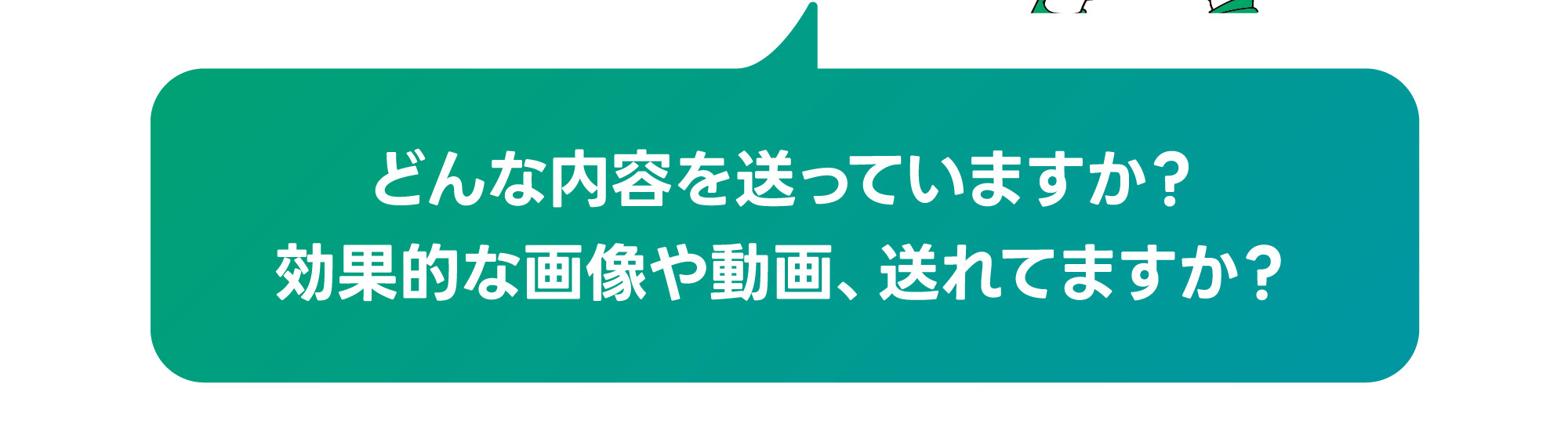 どんな内容を送っていますか？効果的な画像や動画、送れてますか？