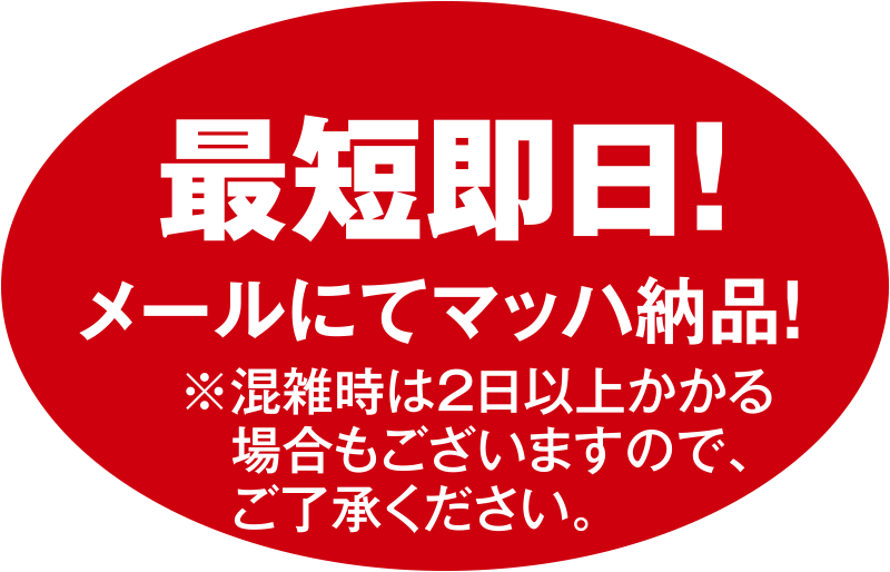 最短即日！メールにてマッハ納品!※混雑時は２日以上かかる場合もございますので、ご了承ください。