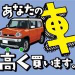 carbuy_007_p