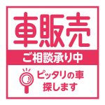 carsale_005_p