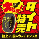 tire_034_p