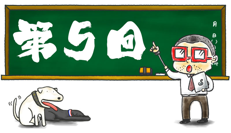第5回 読ませるチラシ作りの必須テク Z読み とは Sugkik情報局